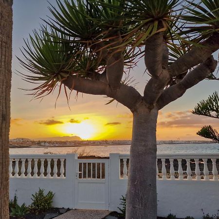 Villa La Maja Beachfront コラレホ エクステリア 写真