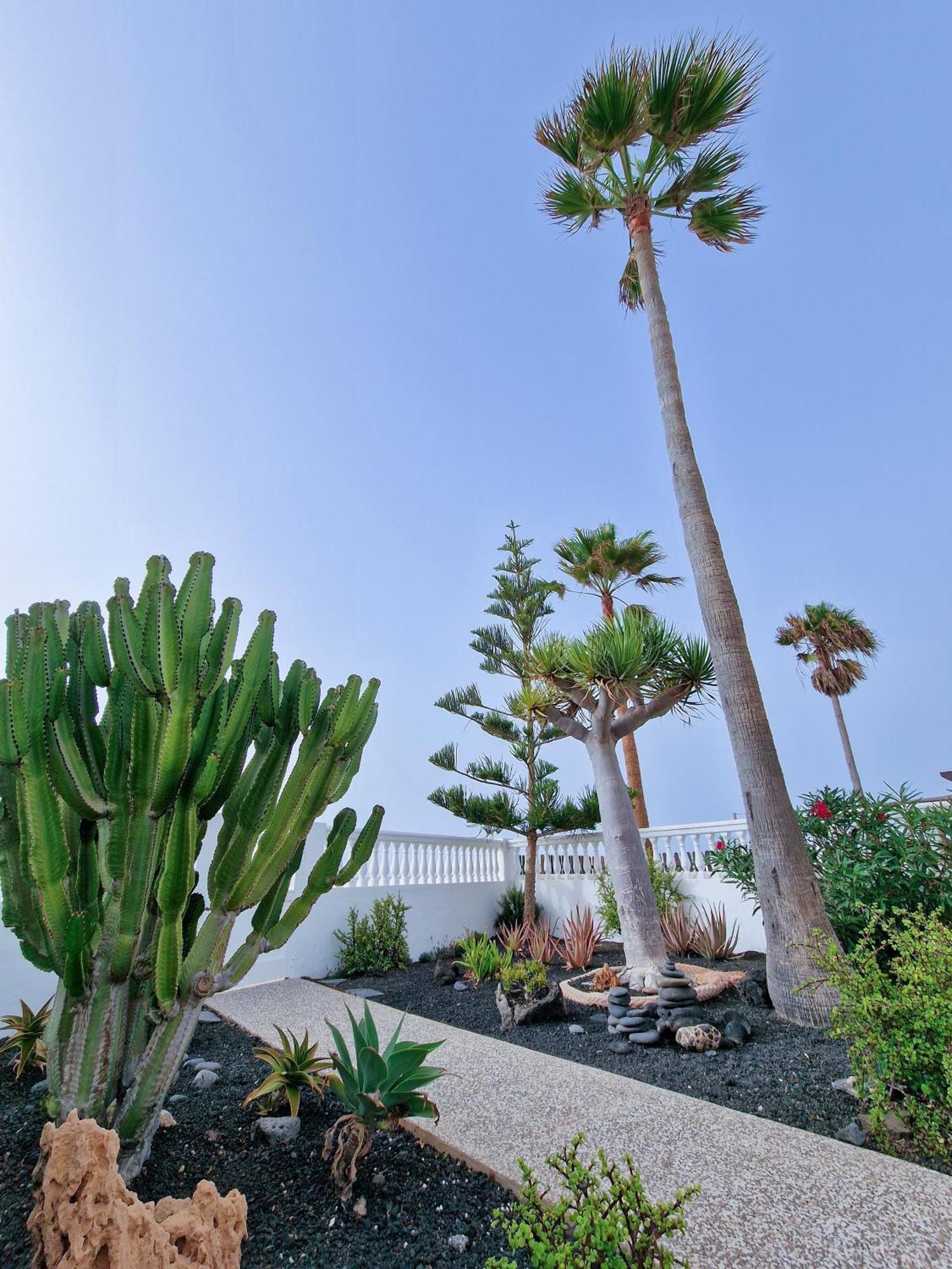 Villa La Maja Beachfront コラレホ エクステリア 写真